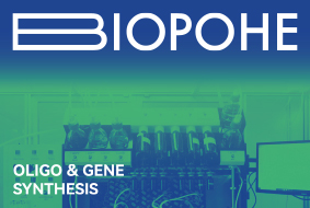 BioPohe Delivers High-Fidelity Custom Oligo and Gene Synthesis with Three Decades of Expertise