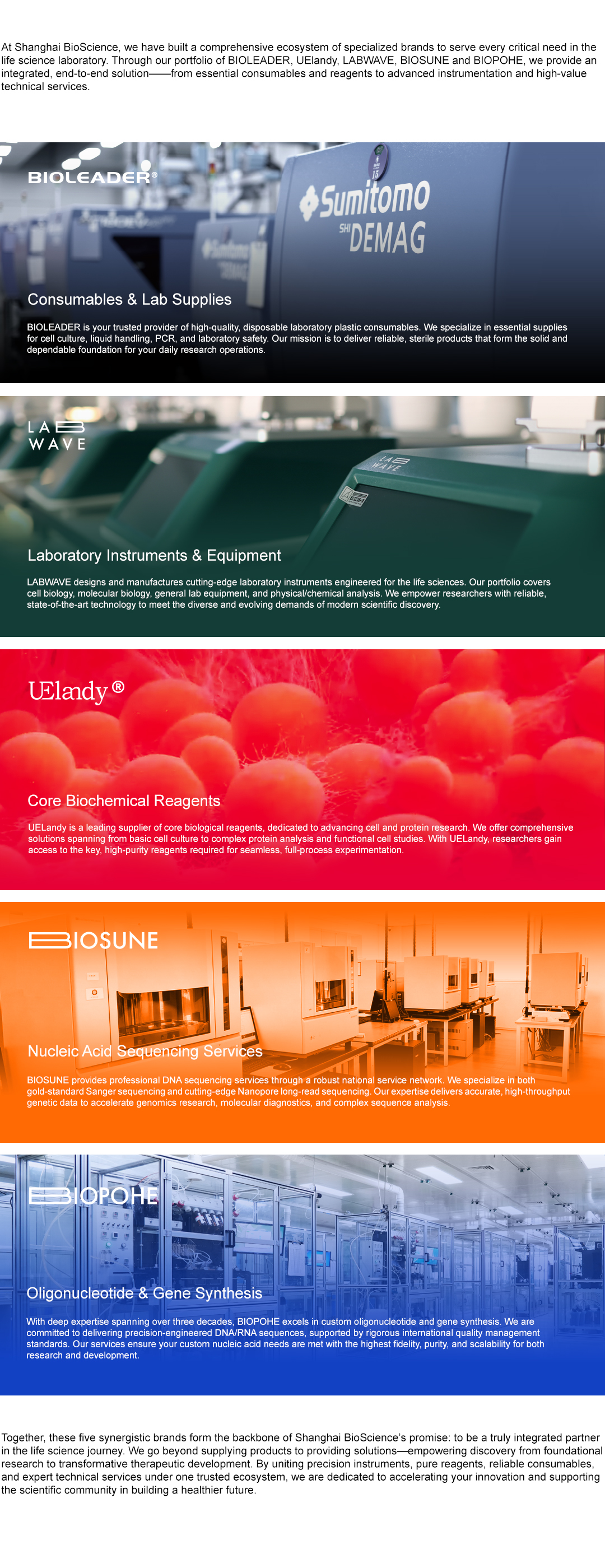 about us-our bussiness.jpg